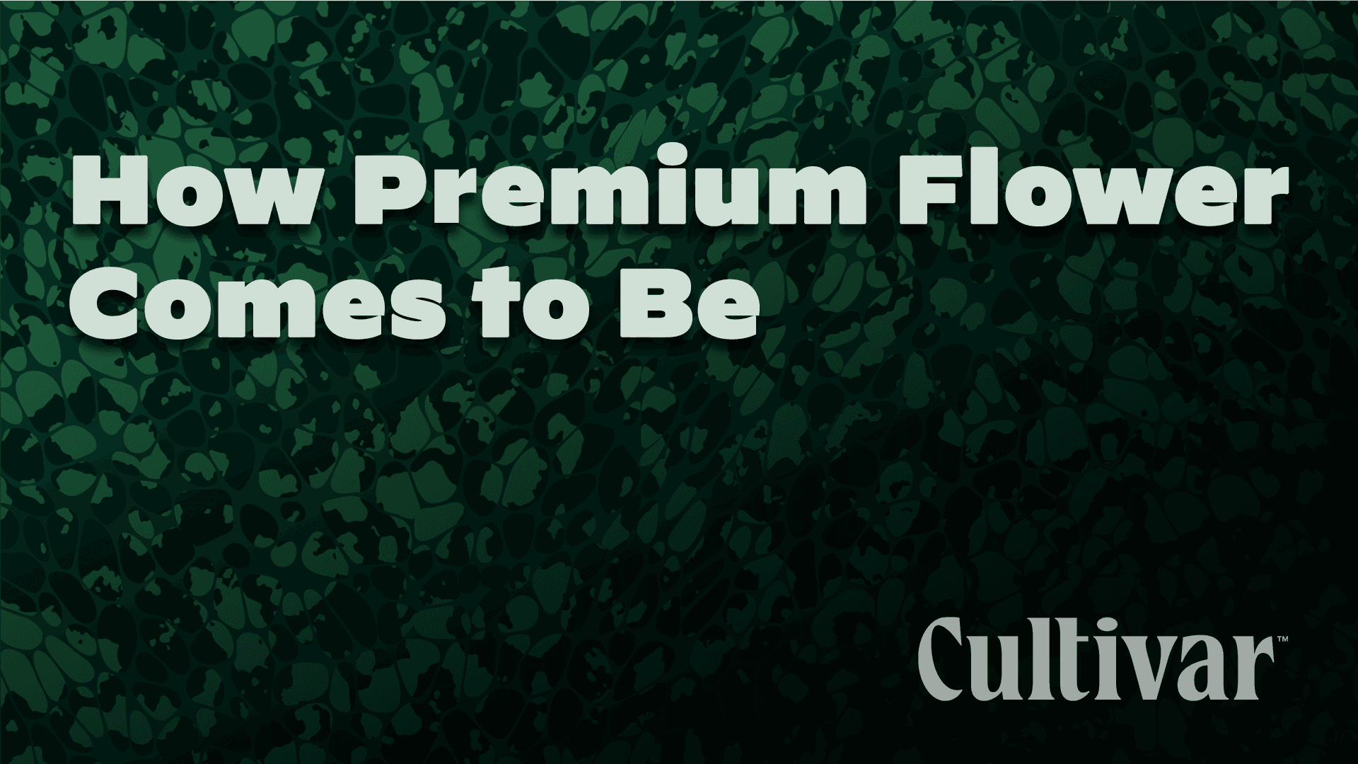 How Premium Flower Comes to Be
