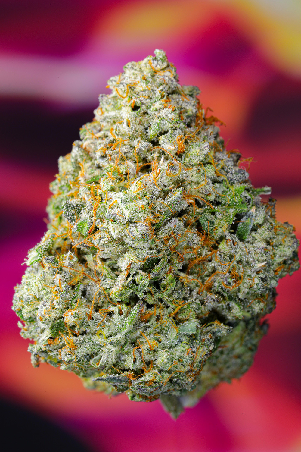 AlienLabs Area 41