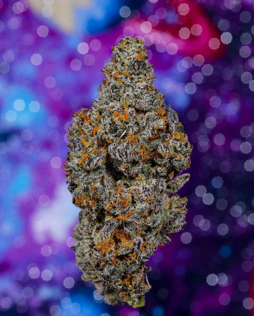 AlienLabs Sherbacio