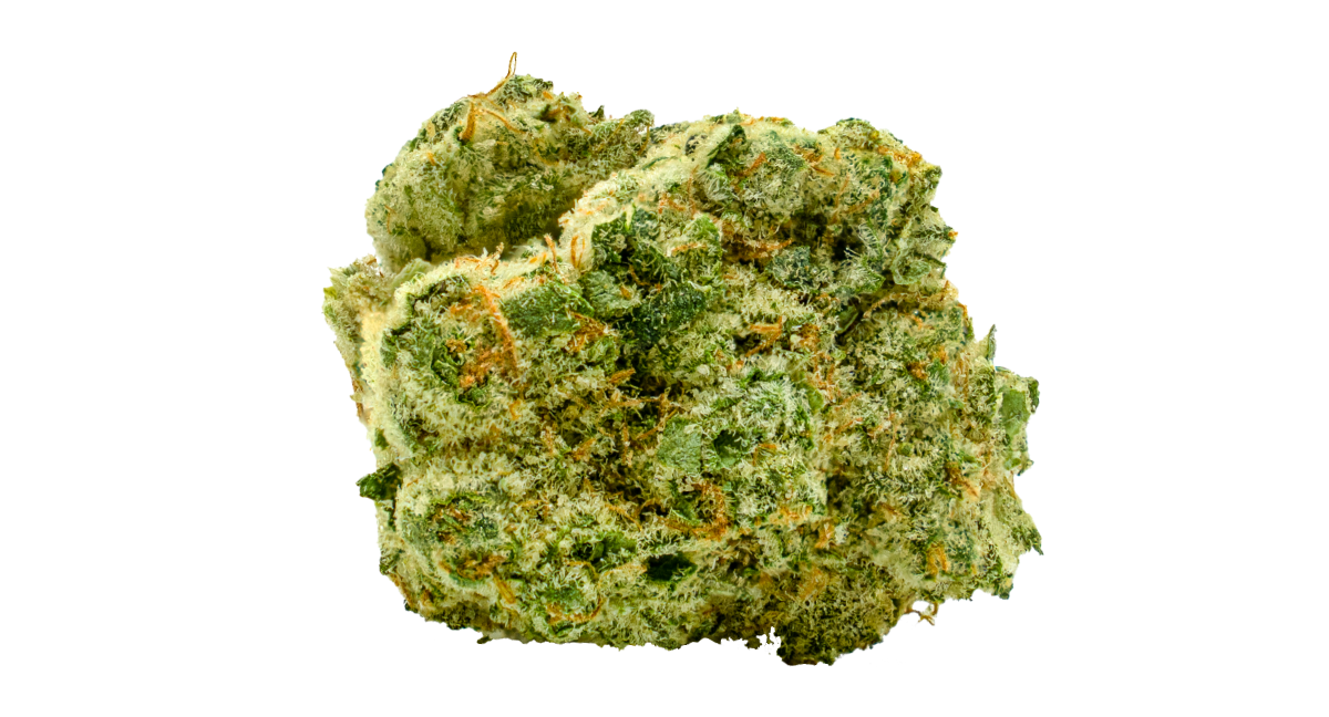 FORBIDDEN ZKITTLEZ
