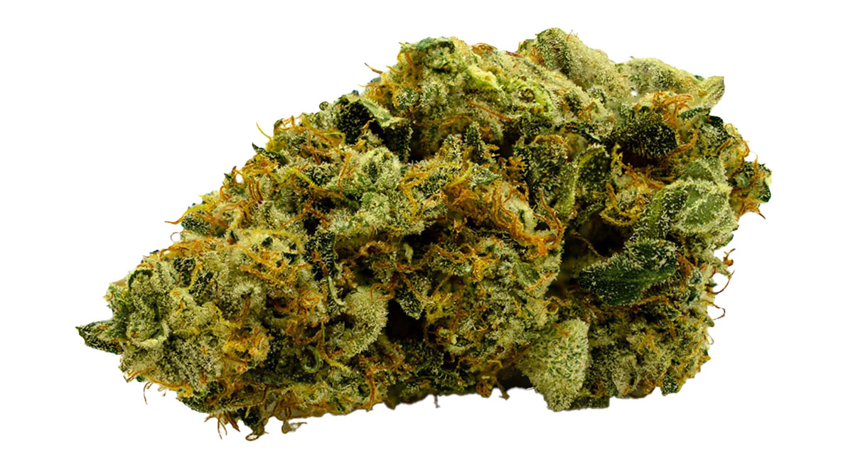 fire cracker 
