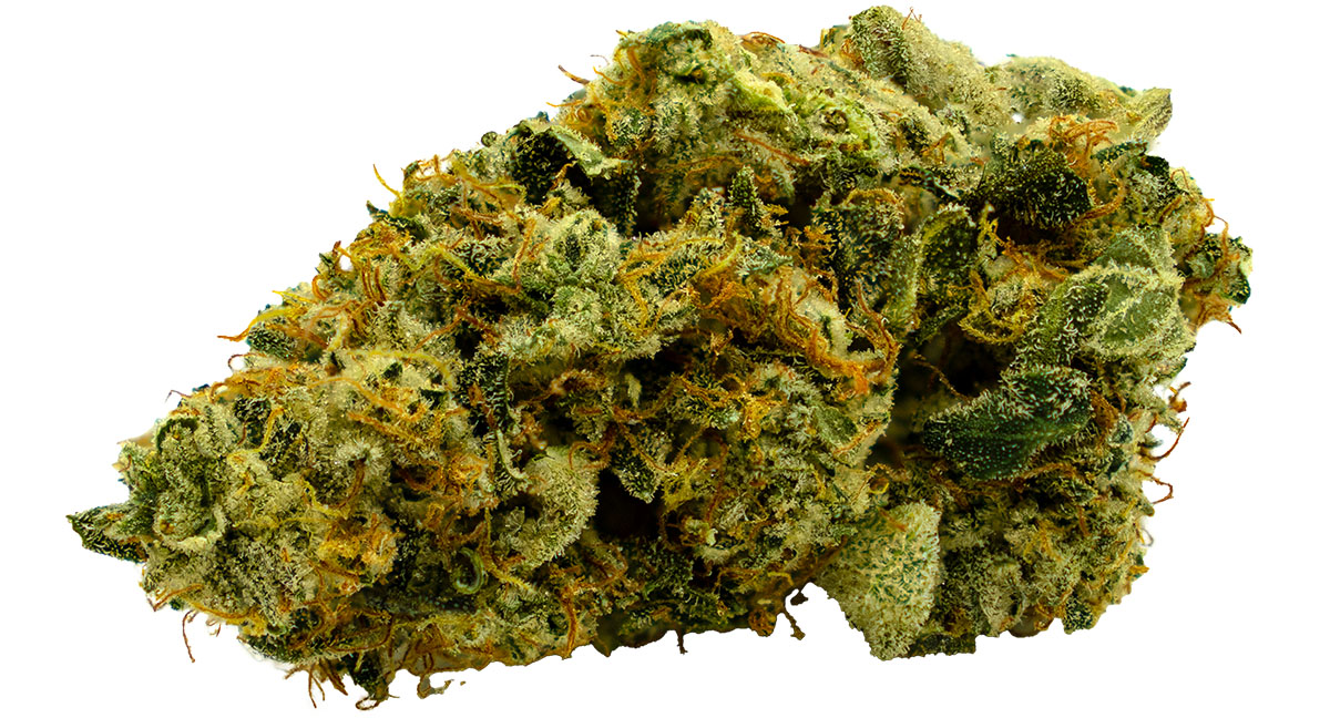 Marshmellow OG 