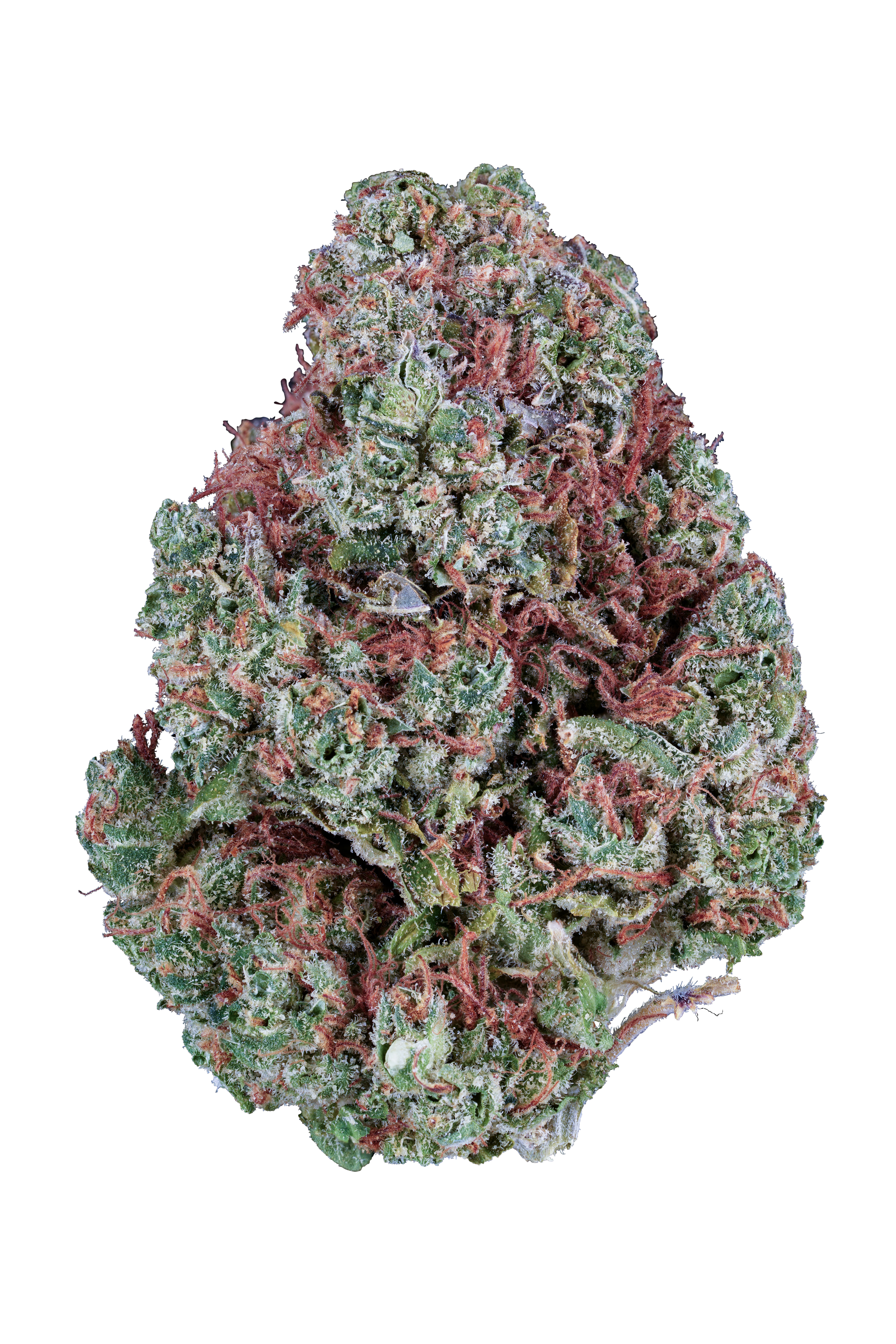 Lemon G Herb