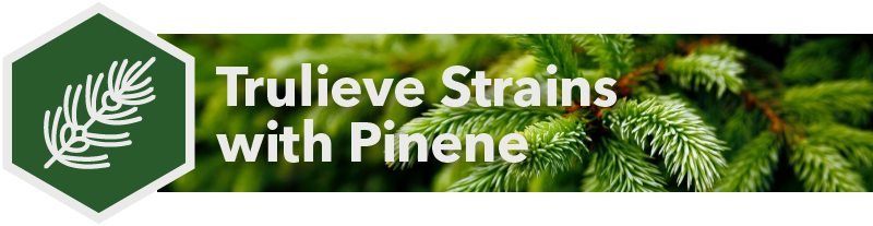 Trulieve Strains with Pinene