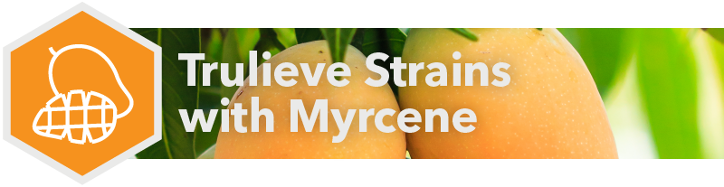 Myrcene