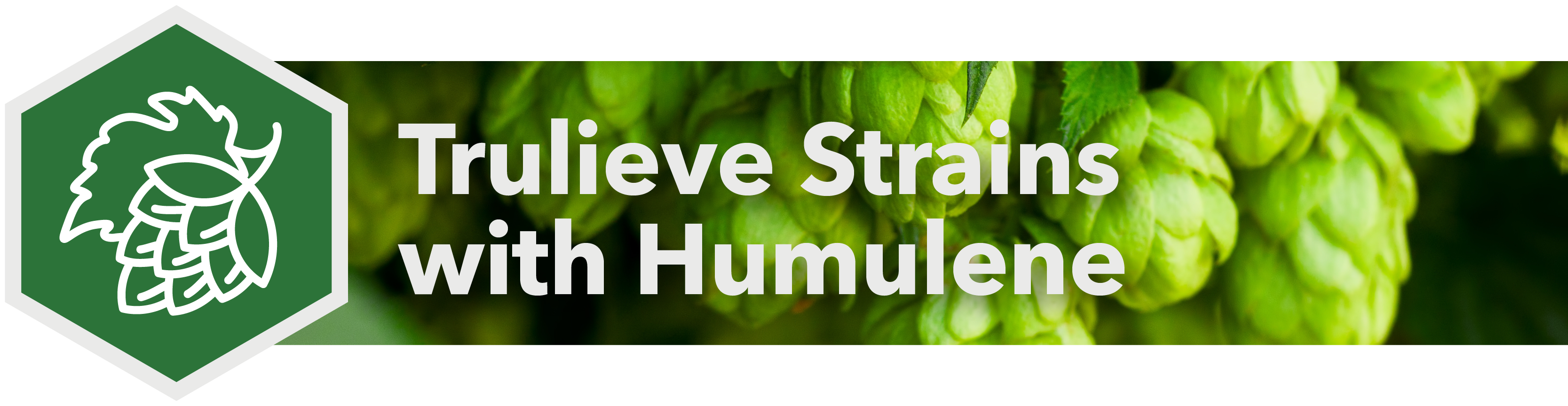 Trulieve Strains with Humulene