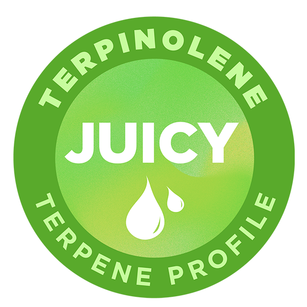 Terpinolene Badge