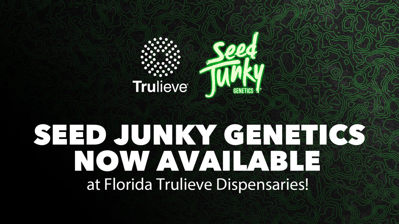 Seed Junky Available Now in Florida Trulieve