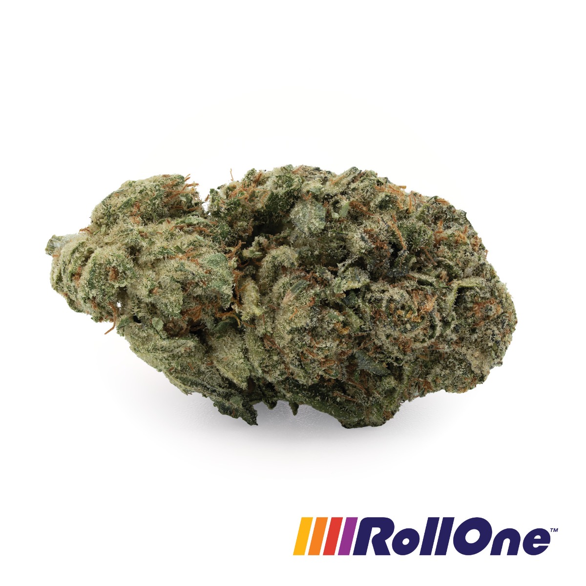 King Louis XIII Flower