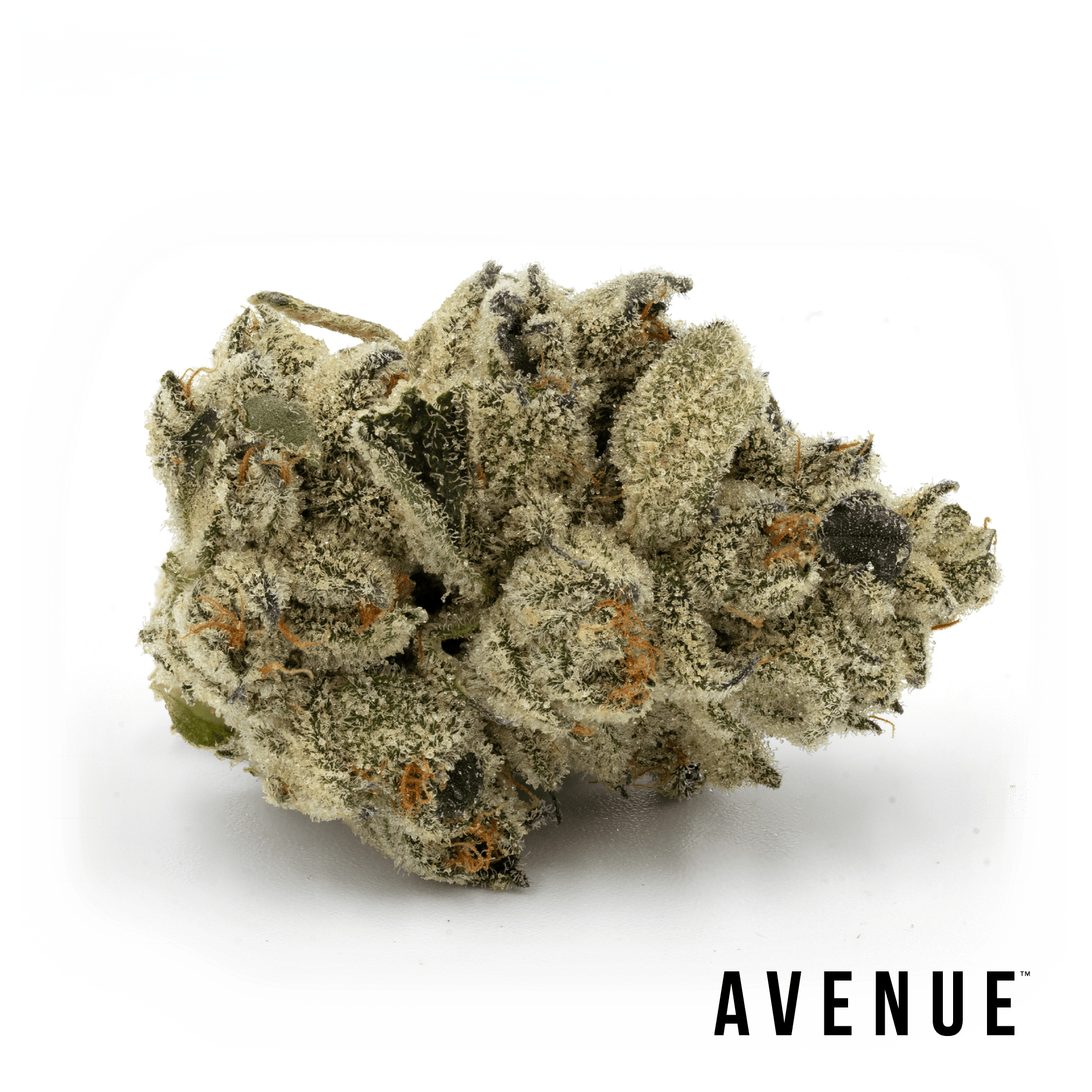 Pink Certz #4 Flower