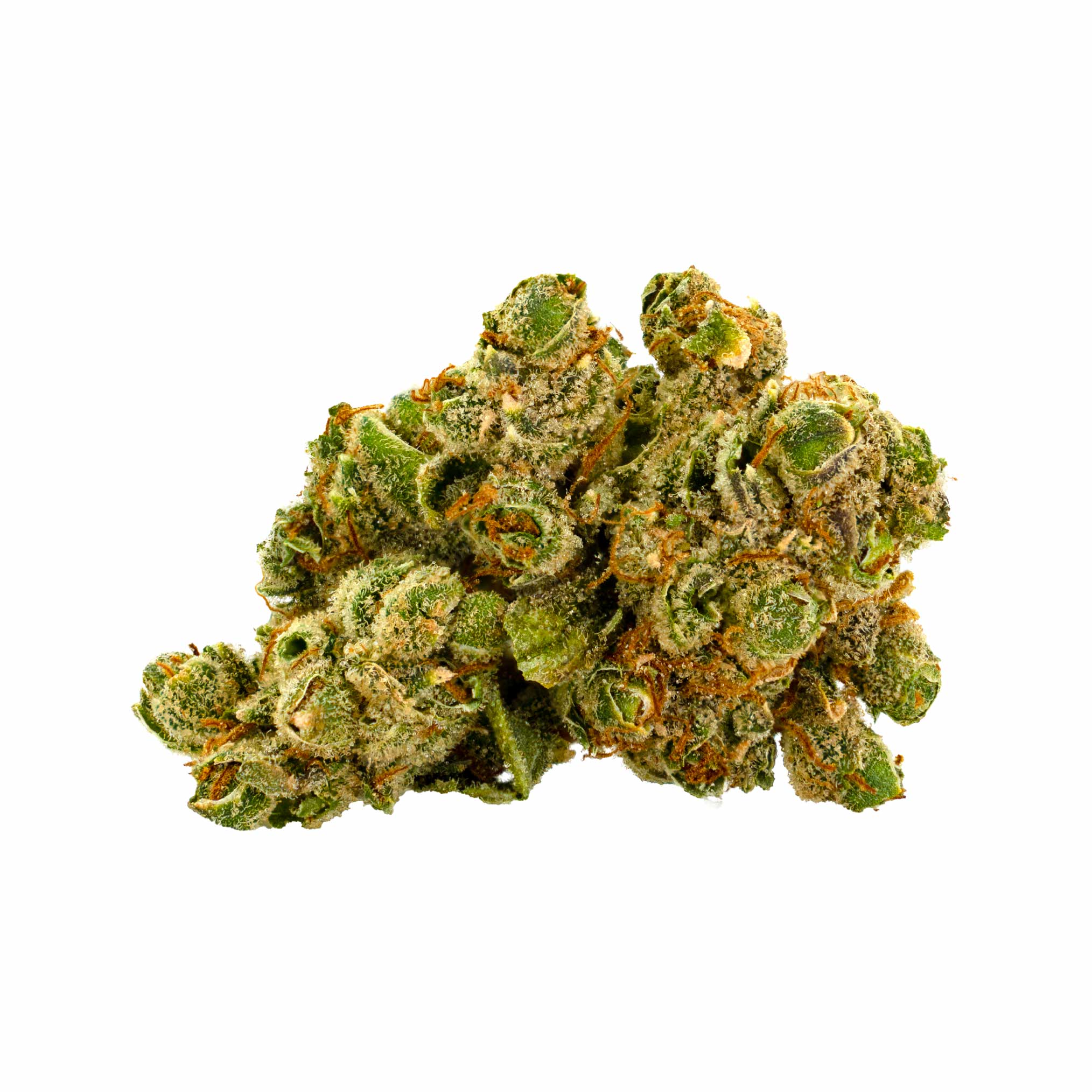 Funk Mountain #2 Flower