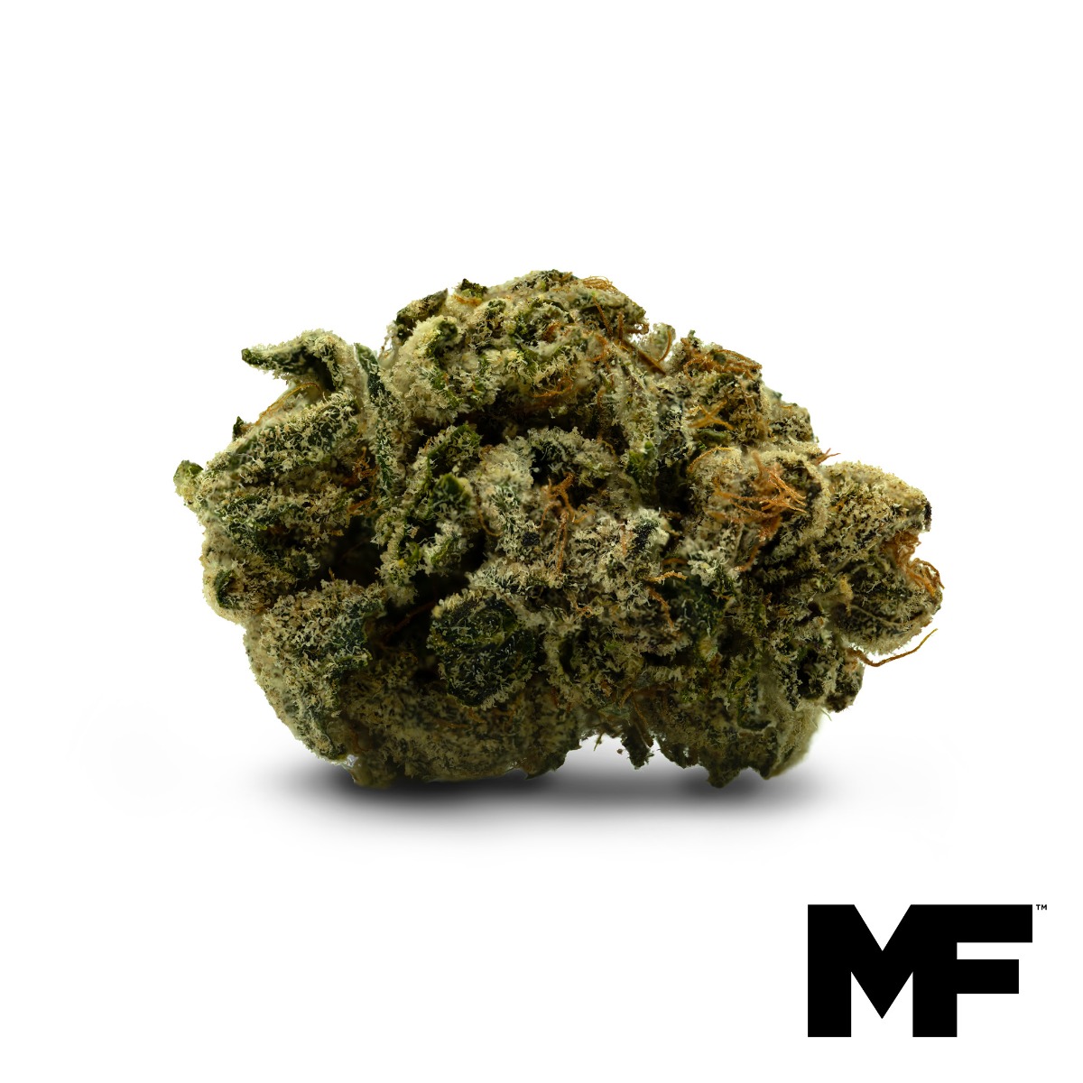 Modern Flower Italian Diesel 3.5G Florida Trulieve