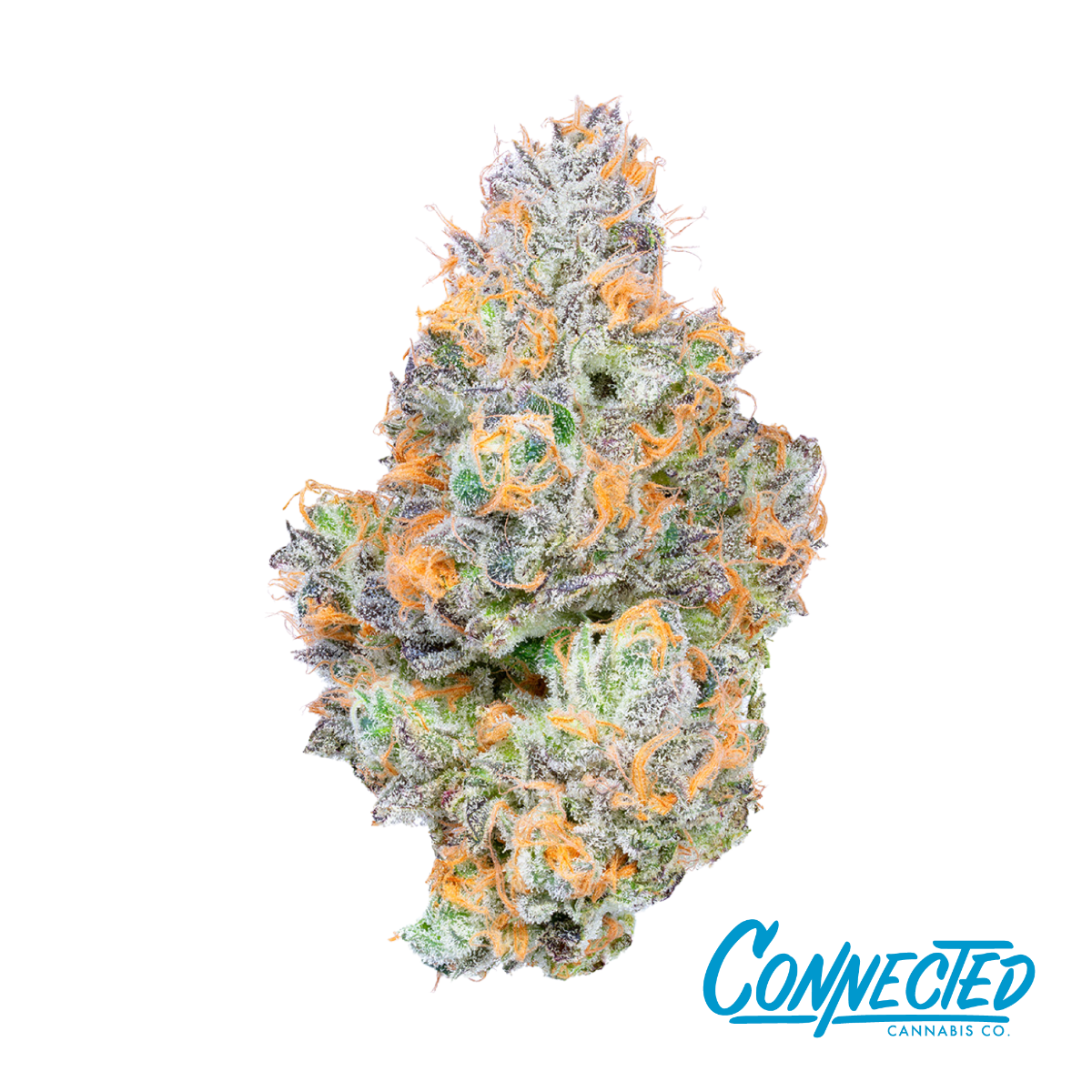 Tropical Z Flower