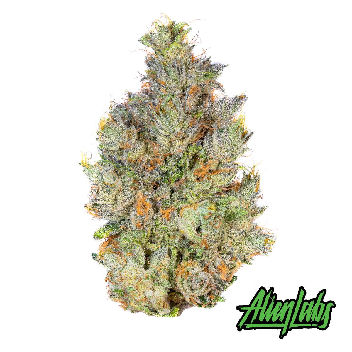 Image of OZ Kush Flower