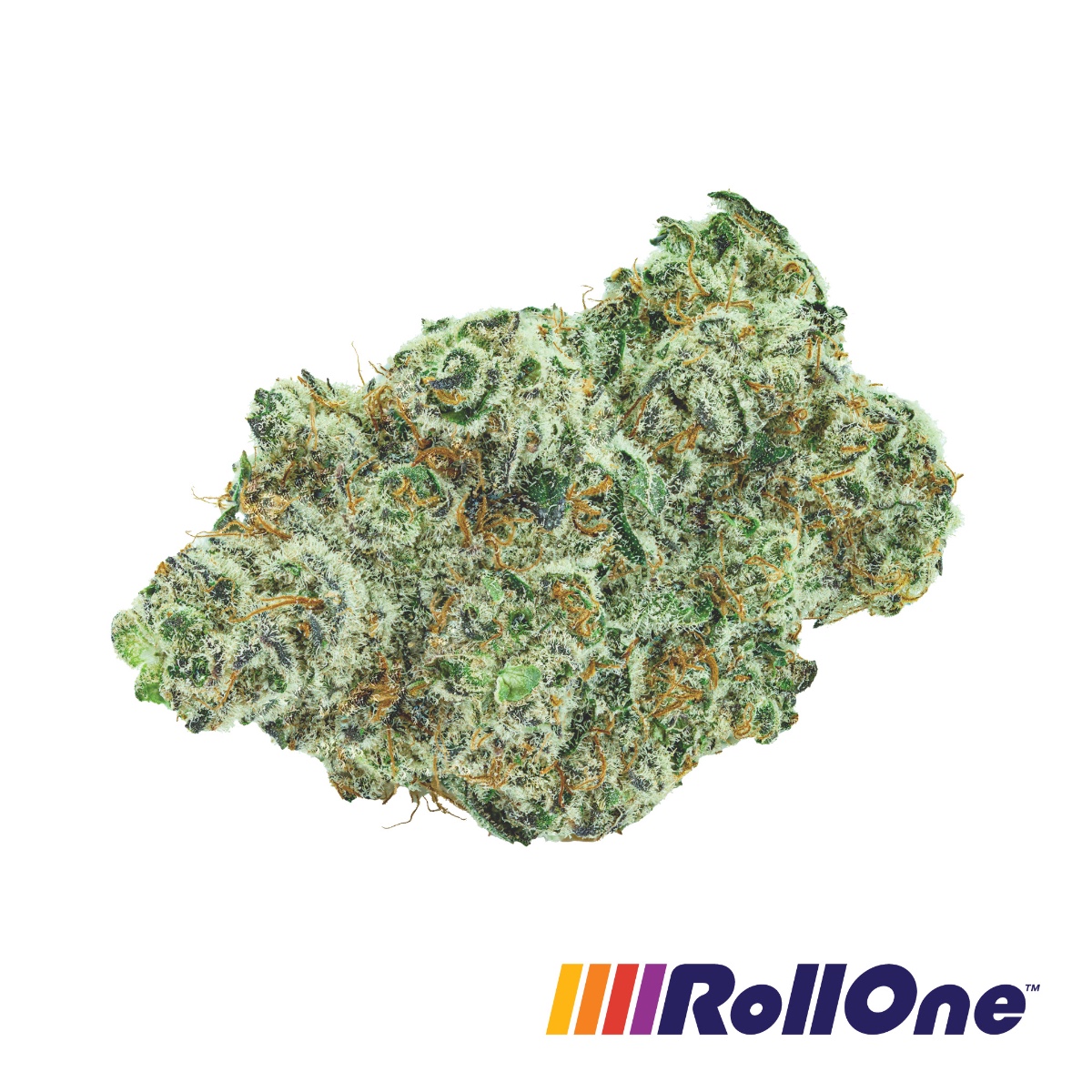 Image of White Wedding Flower