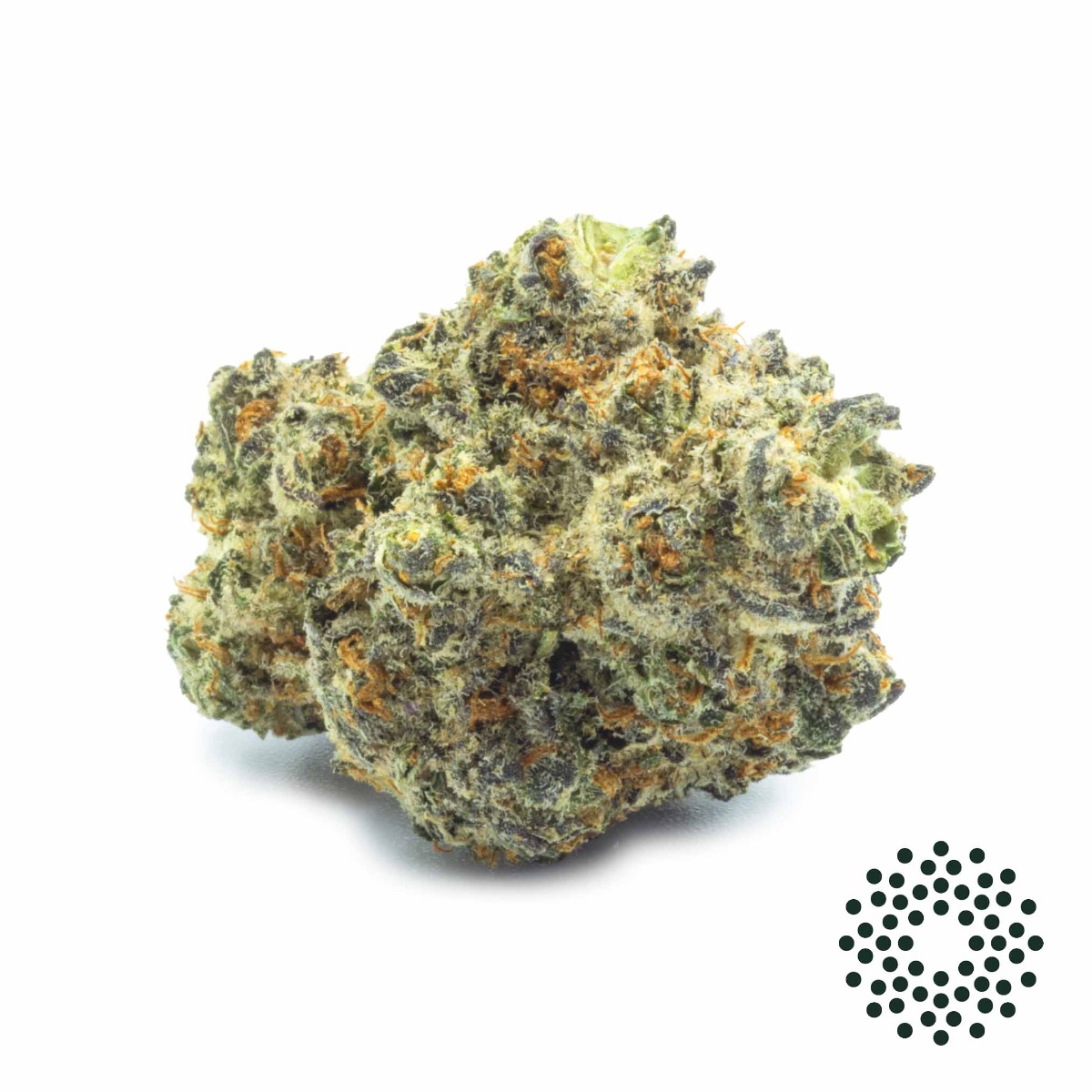Black Diamond Flower