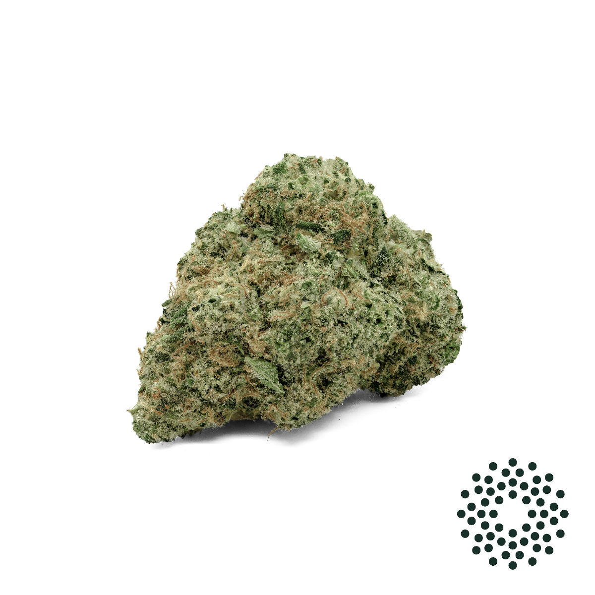 Image of Sky Warden Flower