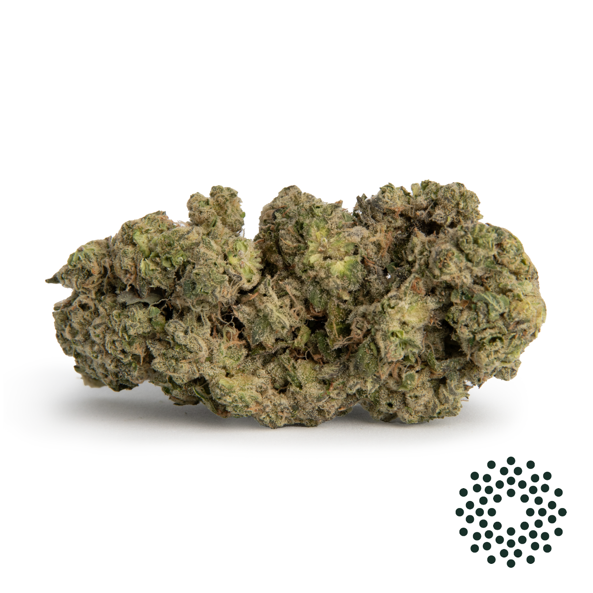 Image of Space Age Cake Flower