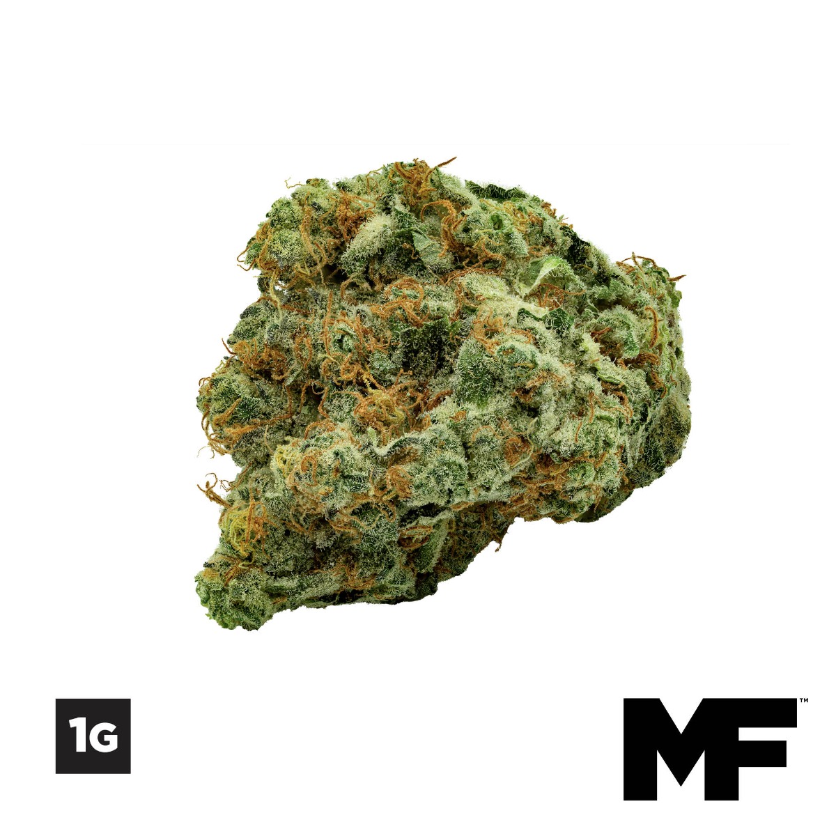Image of 1G Frit Gushrs Flower