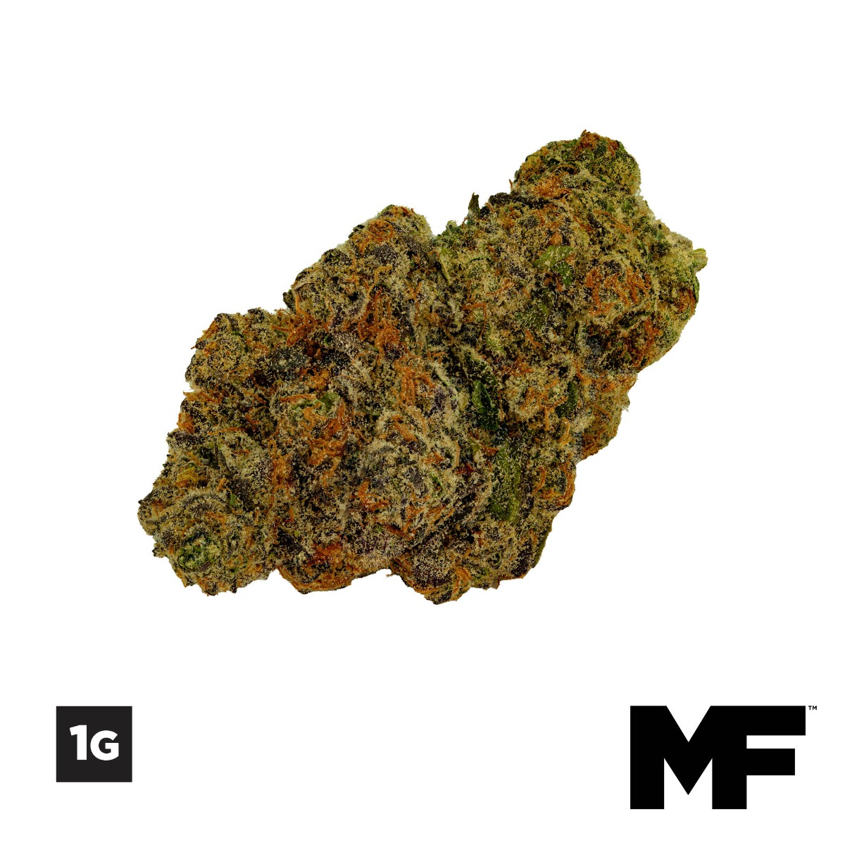 Image of 1G Guava D Flower