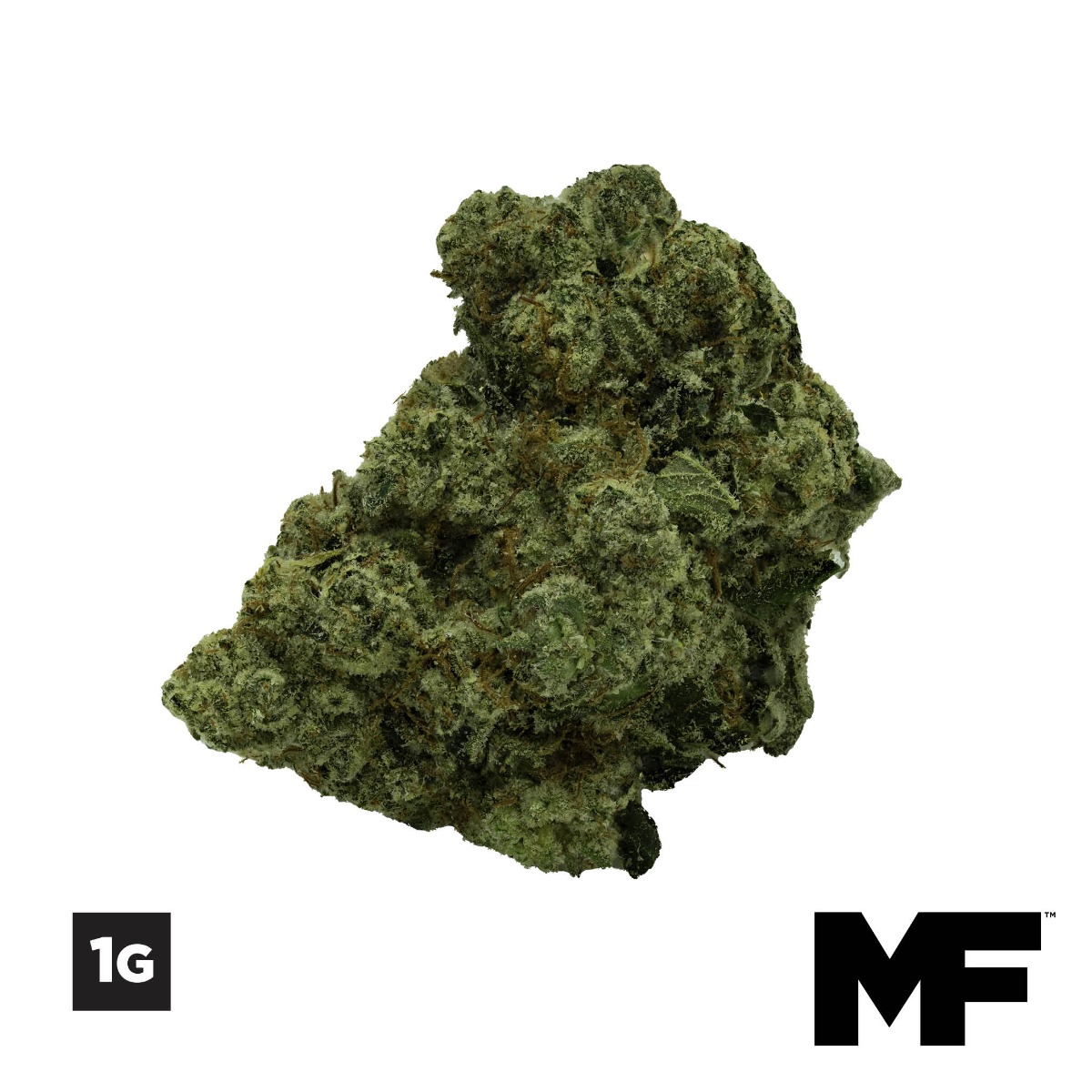 Image of 1G Motor Breath Flower