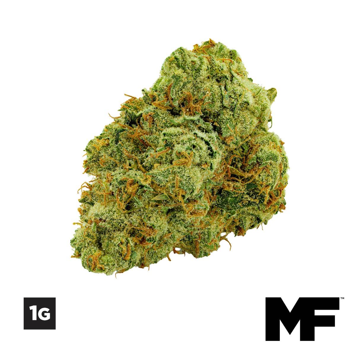 Image of 1G Strawnana x Tropaya Flower