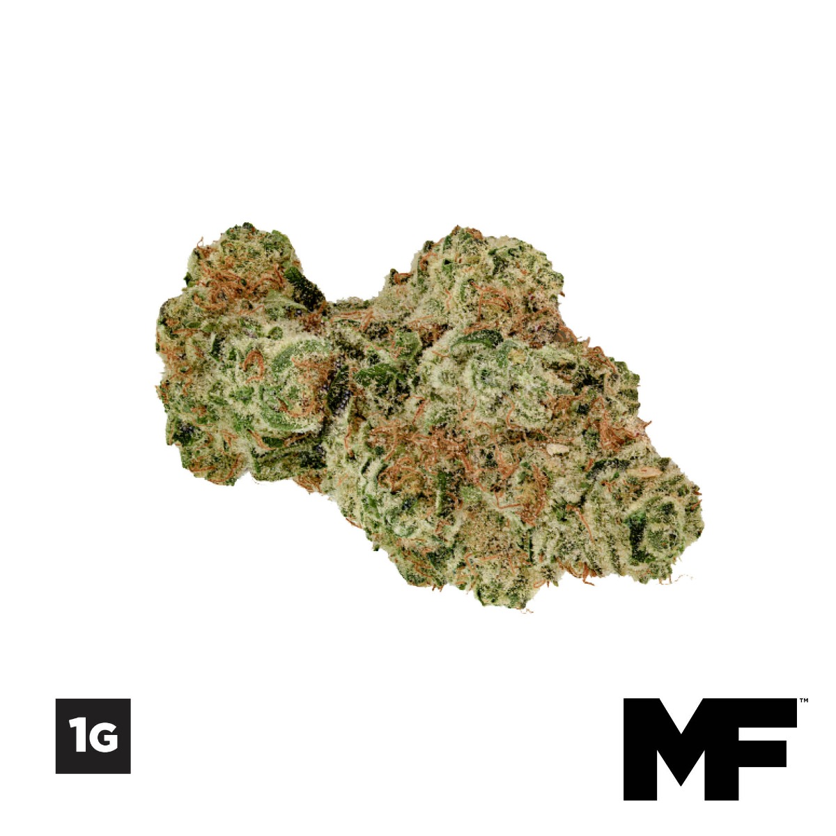 Image of 1G Sunset Squeeze Flower