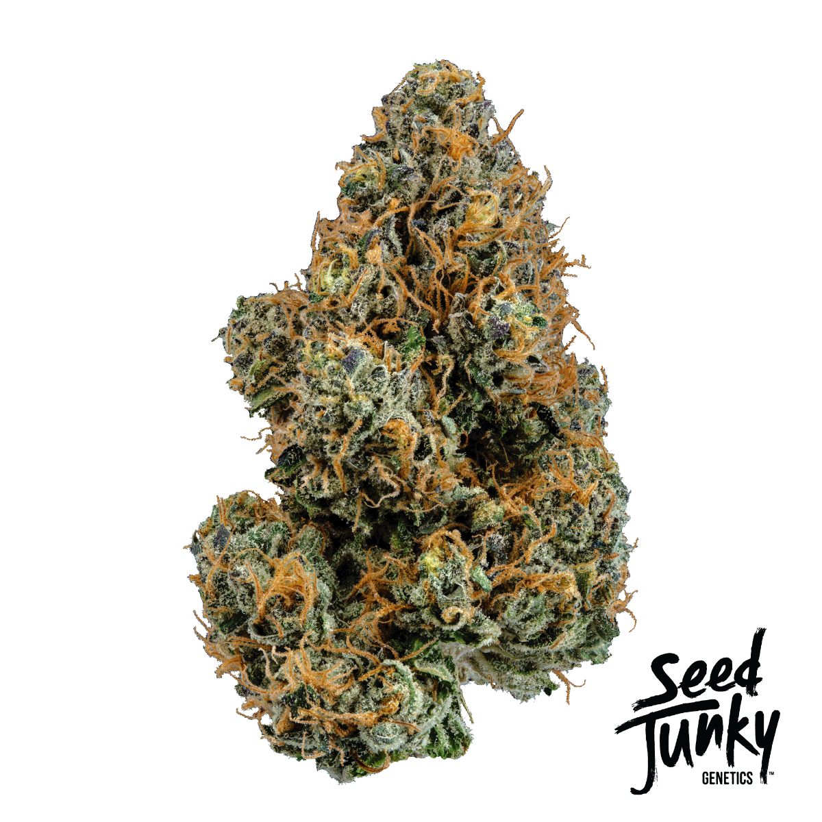 Lemon Fruz