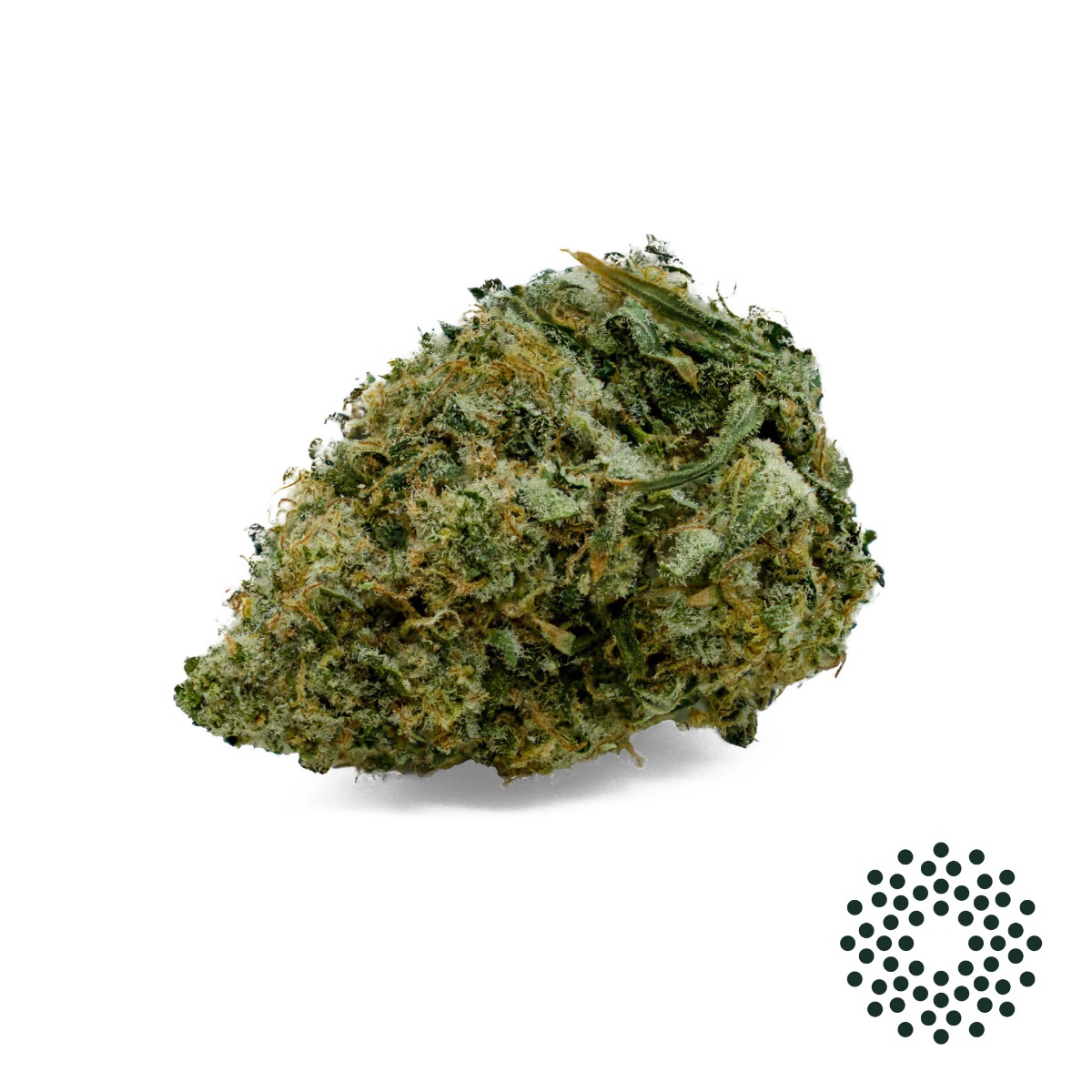 Image of Earthquake Flower