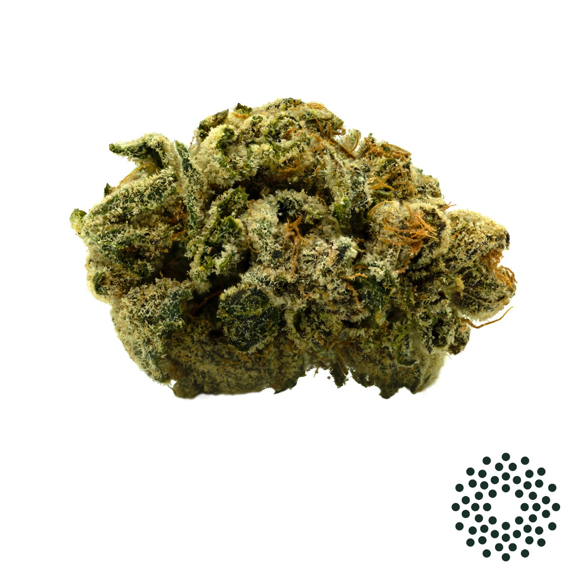 Image of Italian Diesel Flower