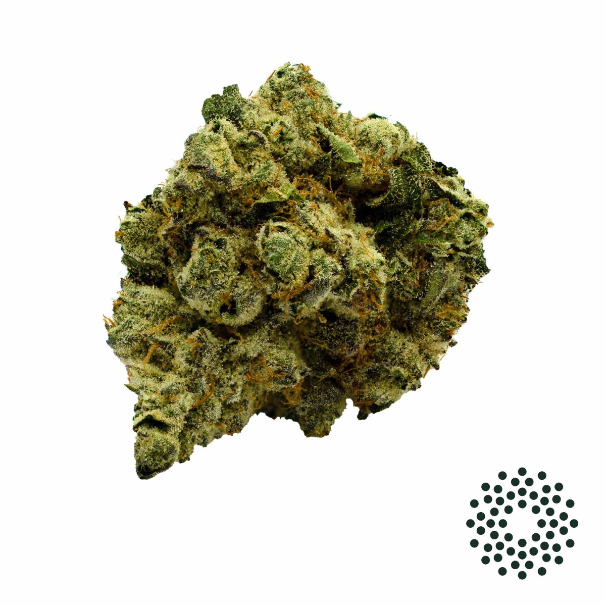 Image of Juice Berry Flower