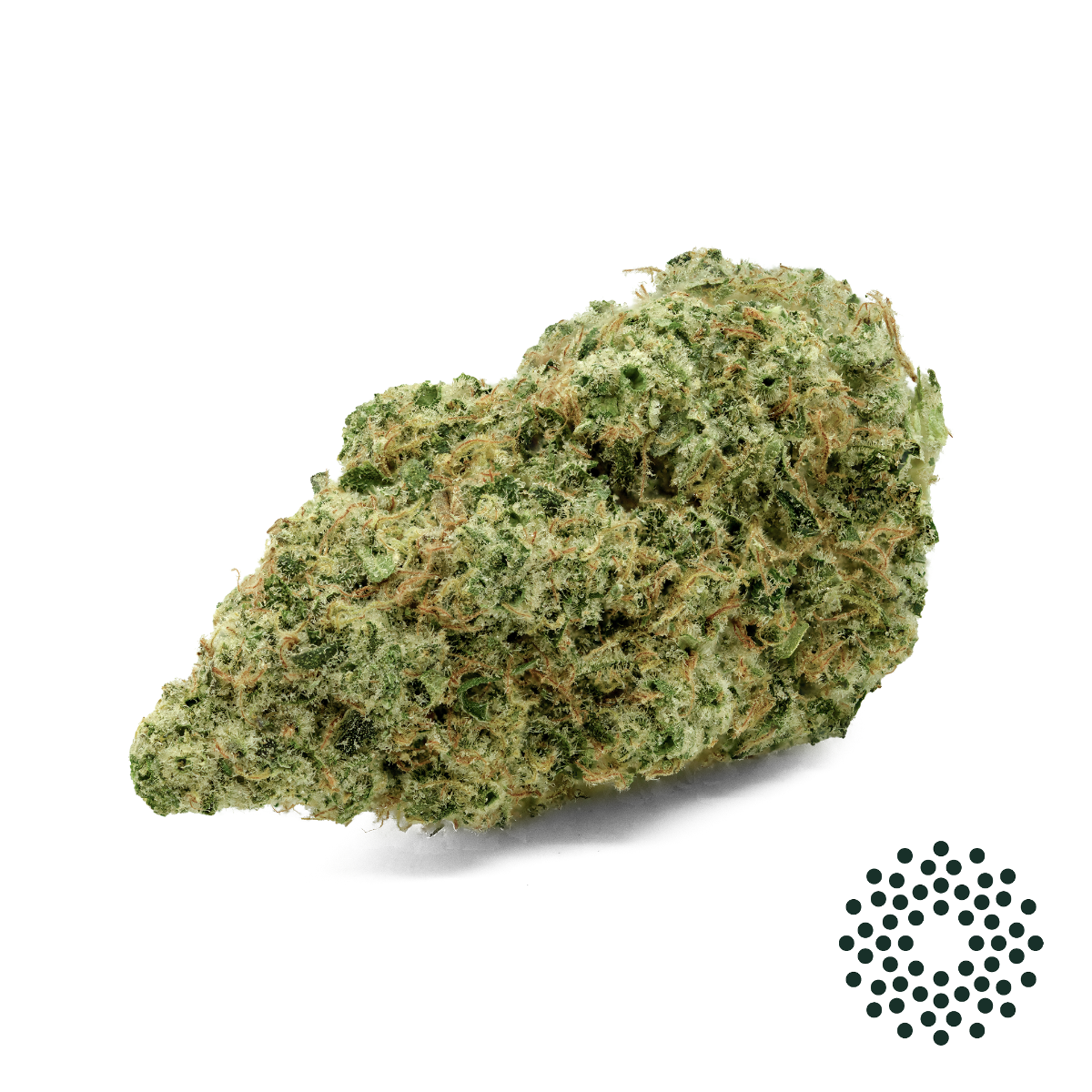 Image of Citrus Bliss Flower