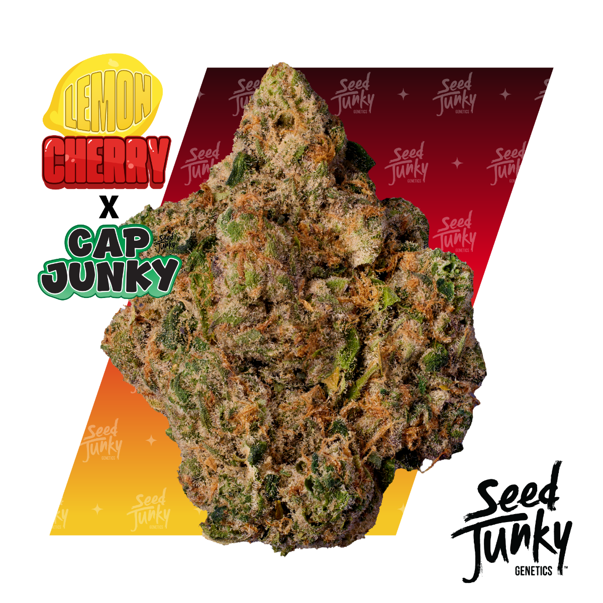 Seed Junky Flower | Lemon Cherry x Cap Junky | 3.5G Florida
