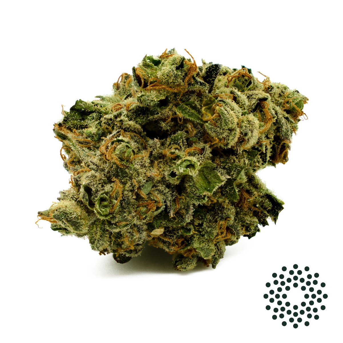 Sour Amazon Flower