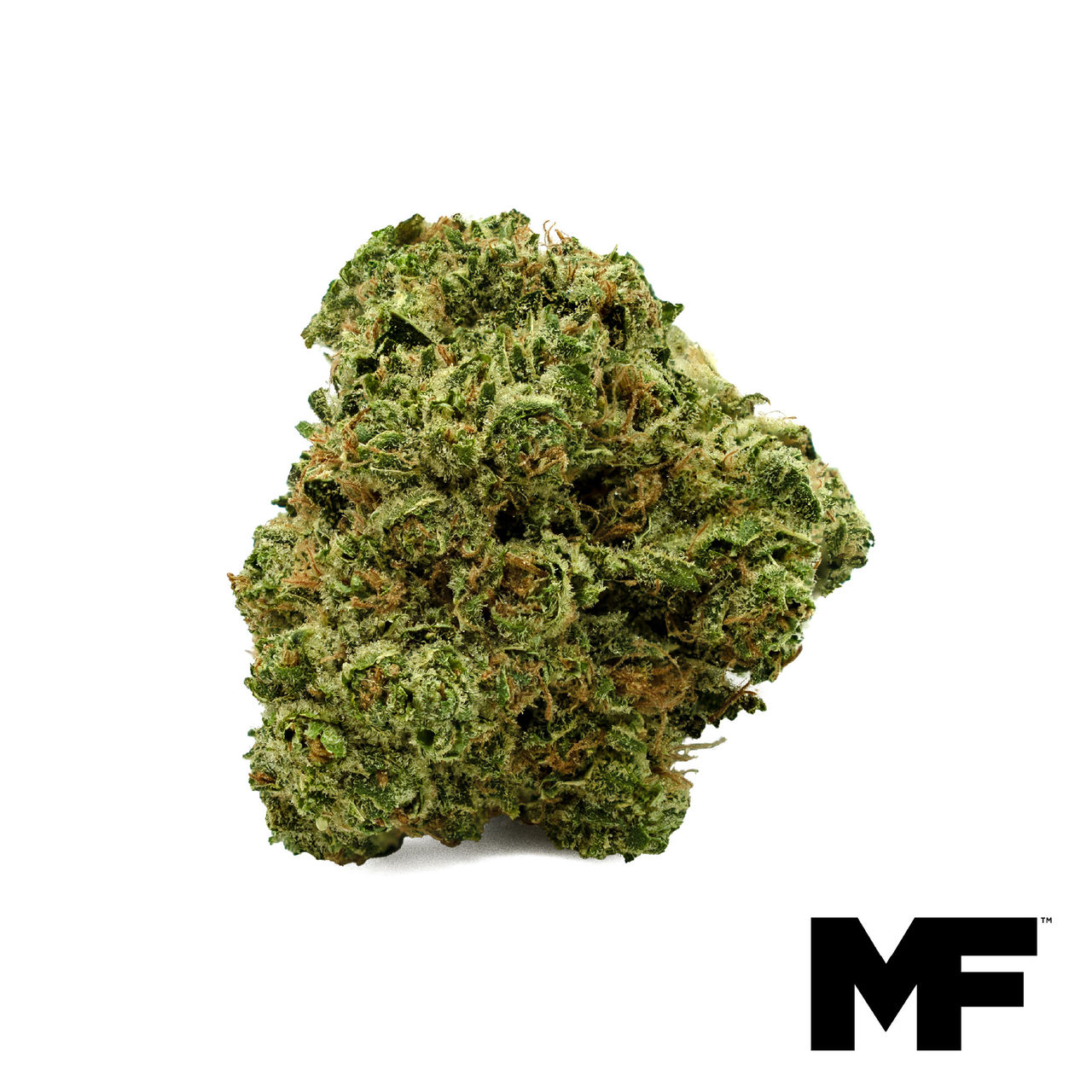 White 99 Flower