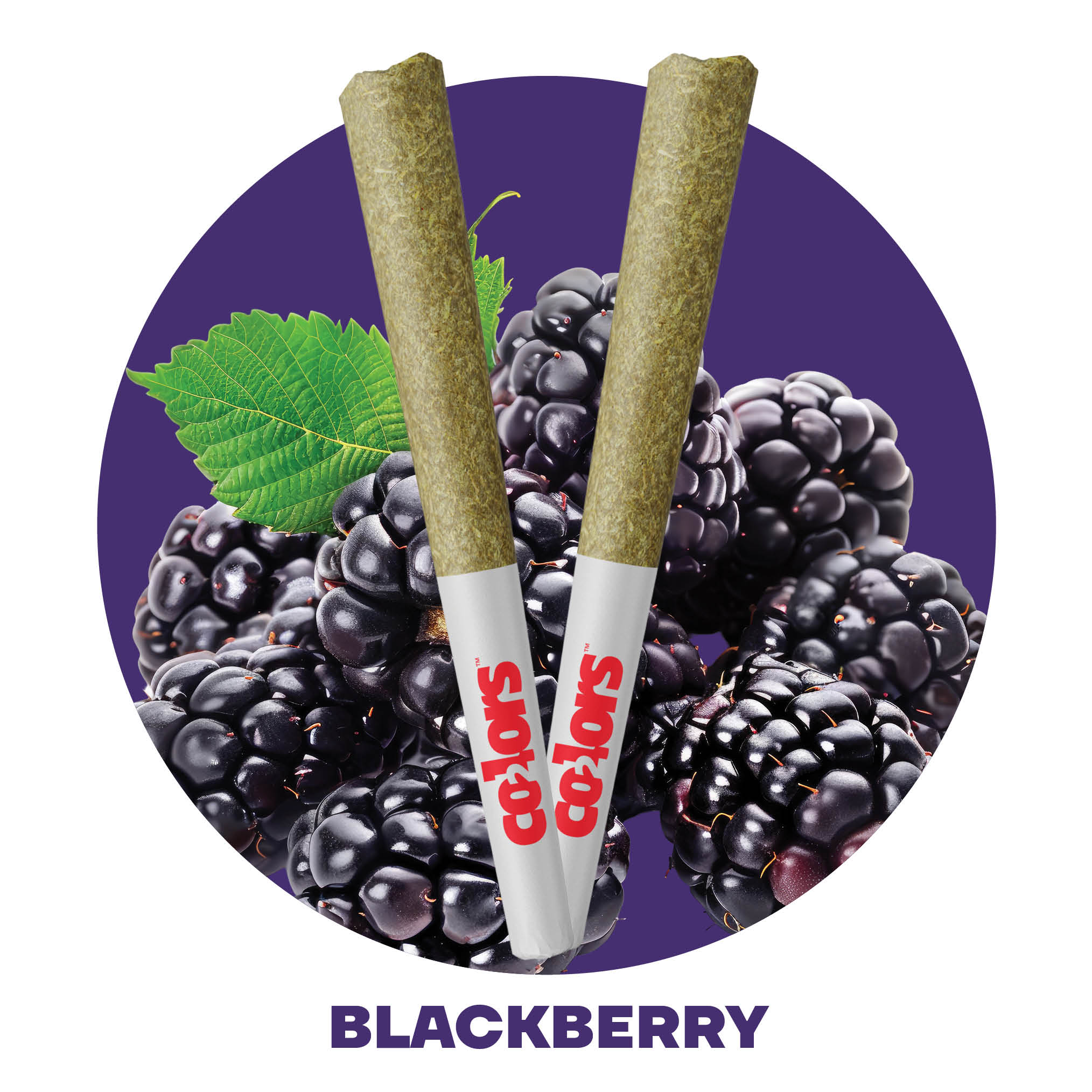 Image of Blackberry Infused Pre-Rolls 2pk