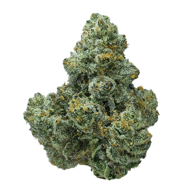Image of Mystical Gelato Flower