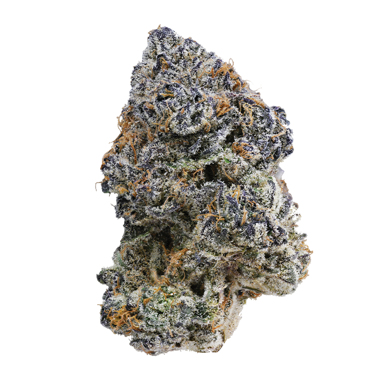 Image of Raspberry Reaper Flower