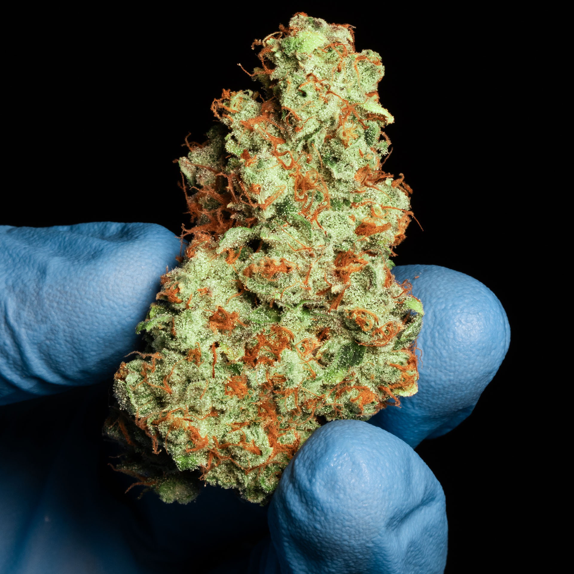 Superboof Flower