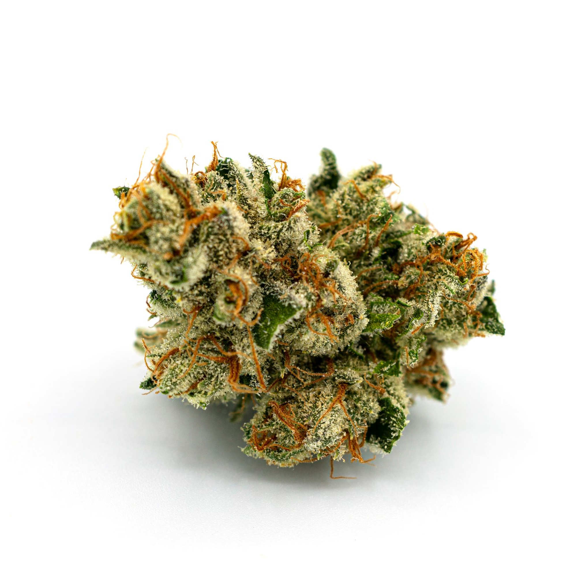 watermelon♡ Watermelon Z x Lemon Tree Flower