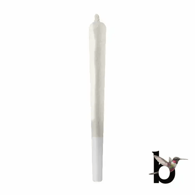 Garlic Cocktail Pre-Roll