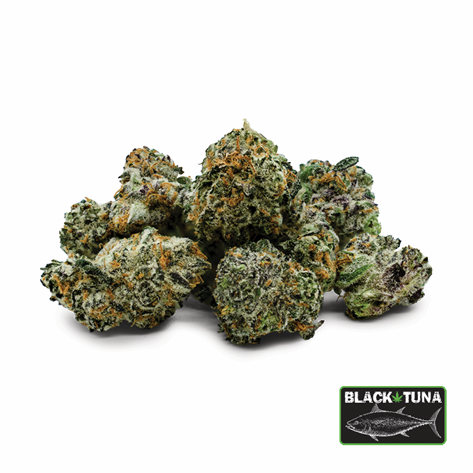 Black Tuna Minis