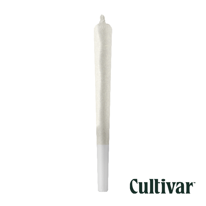 Image of Dark Rainbow - Single PreRoll 1G