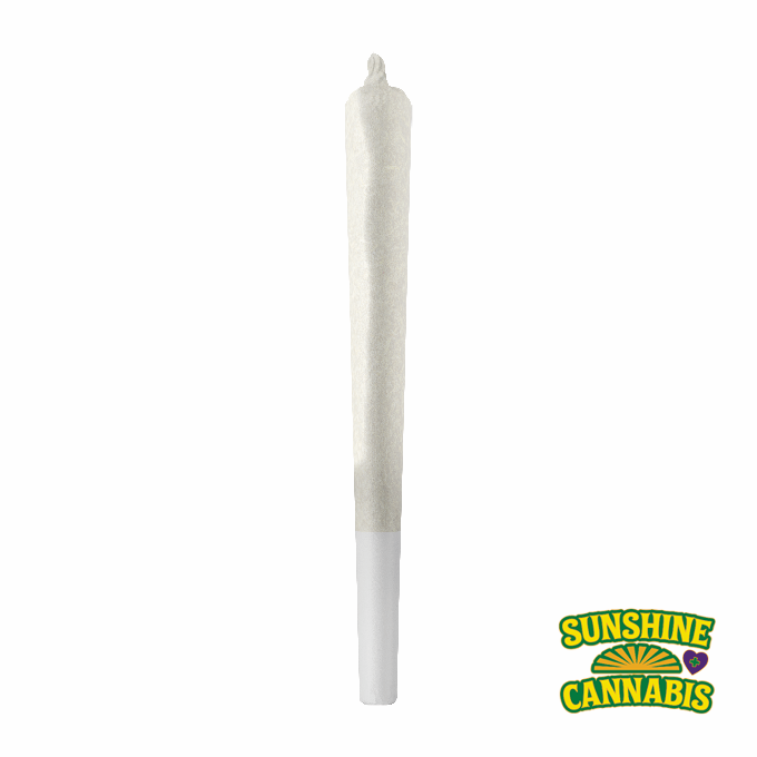 Image of White Sunshine Pre-Roll