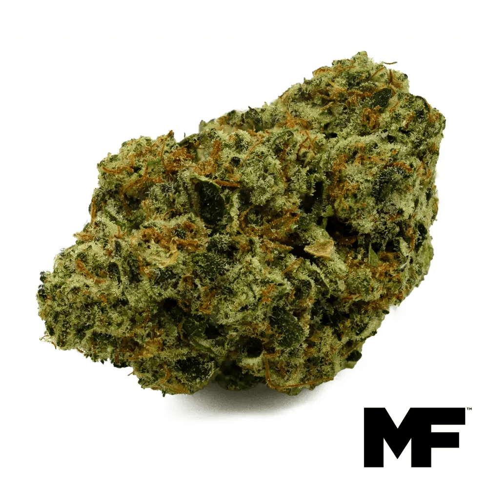 Blue Spring Cakes Flower