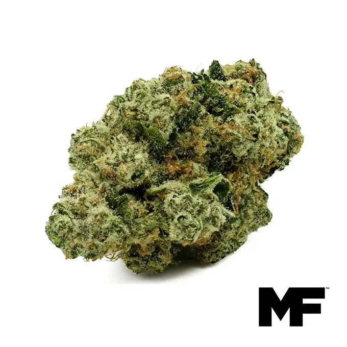 Image of Nitro Dream Flower