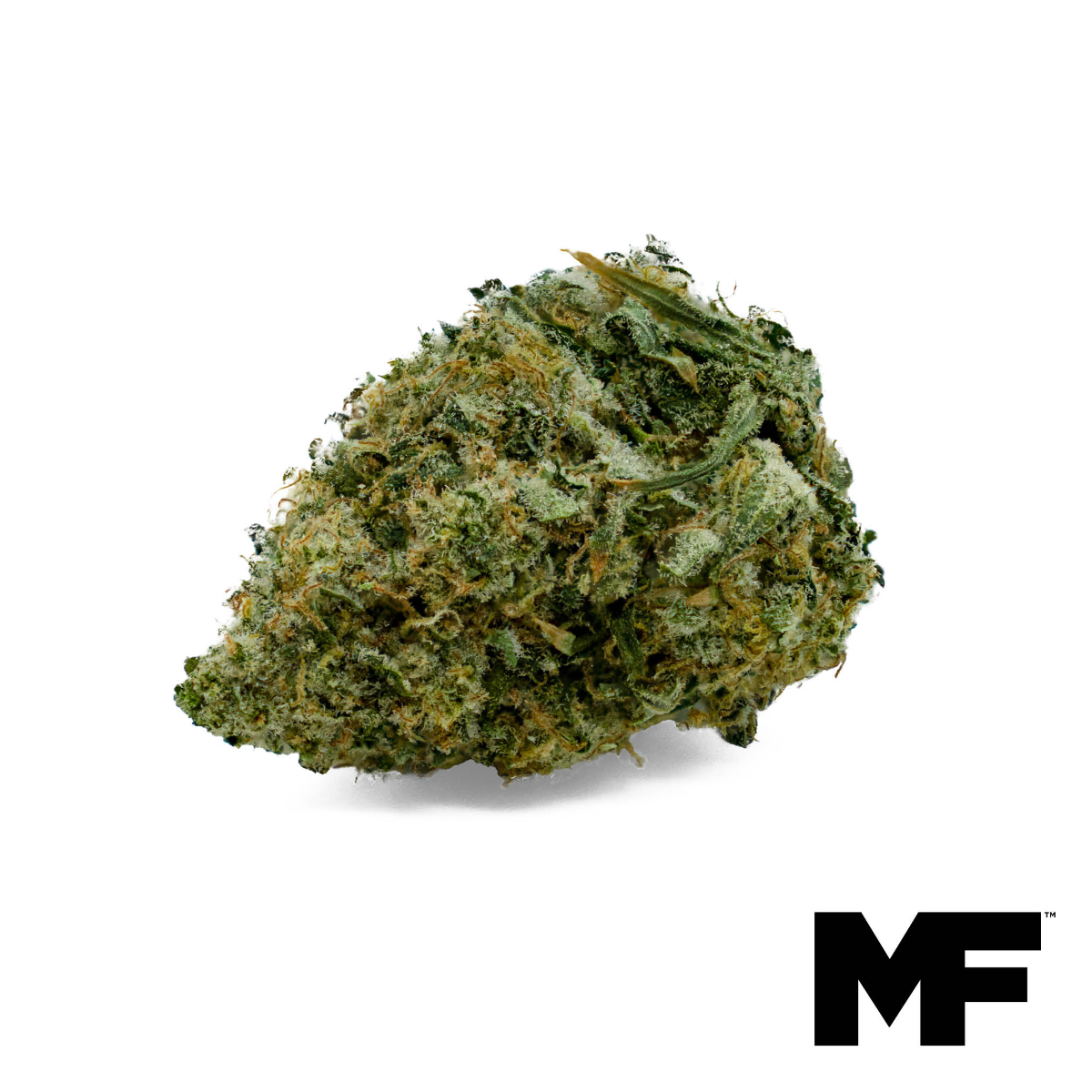 Earthquake Flower