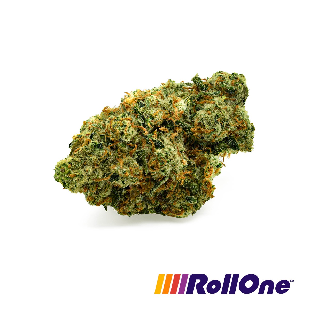 Homestead Haze Flower