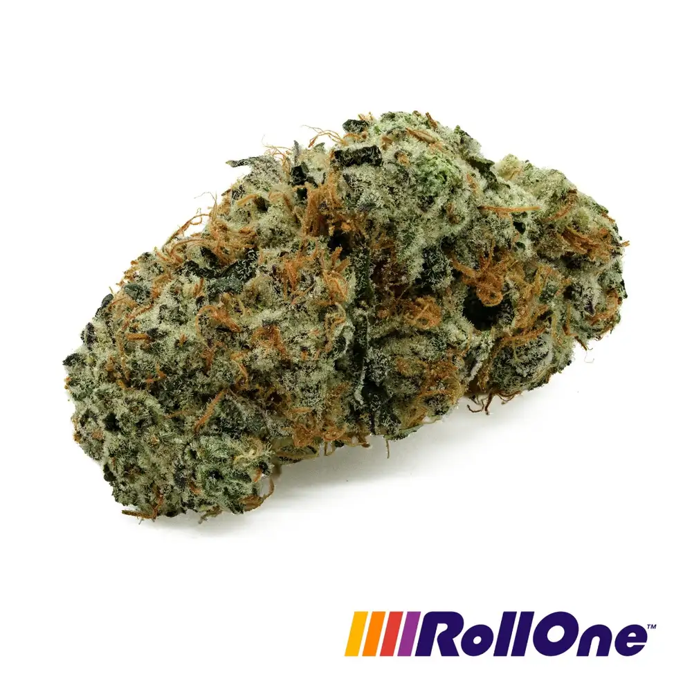 Garlic OZ Flower