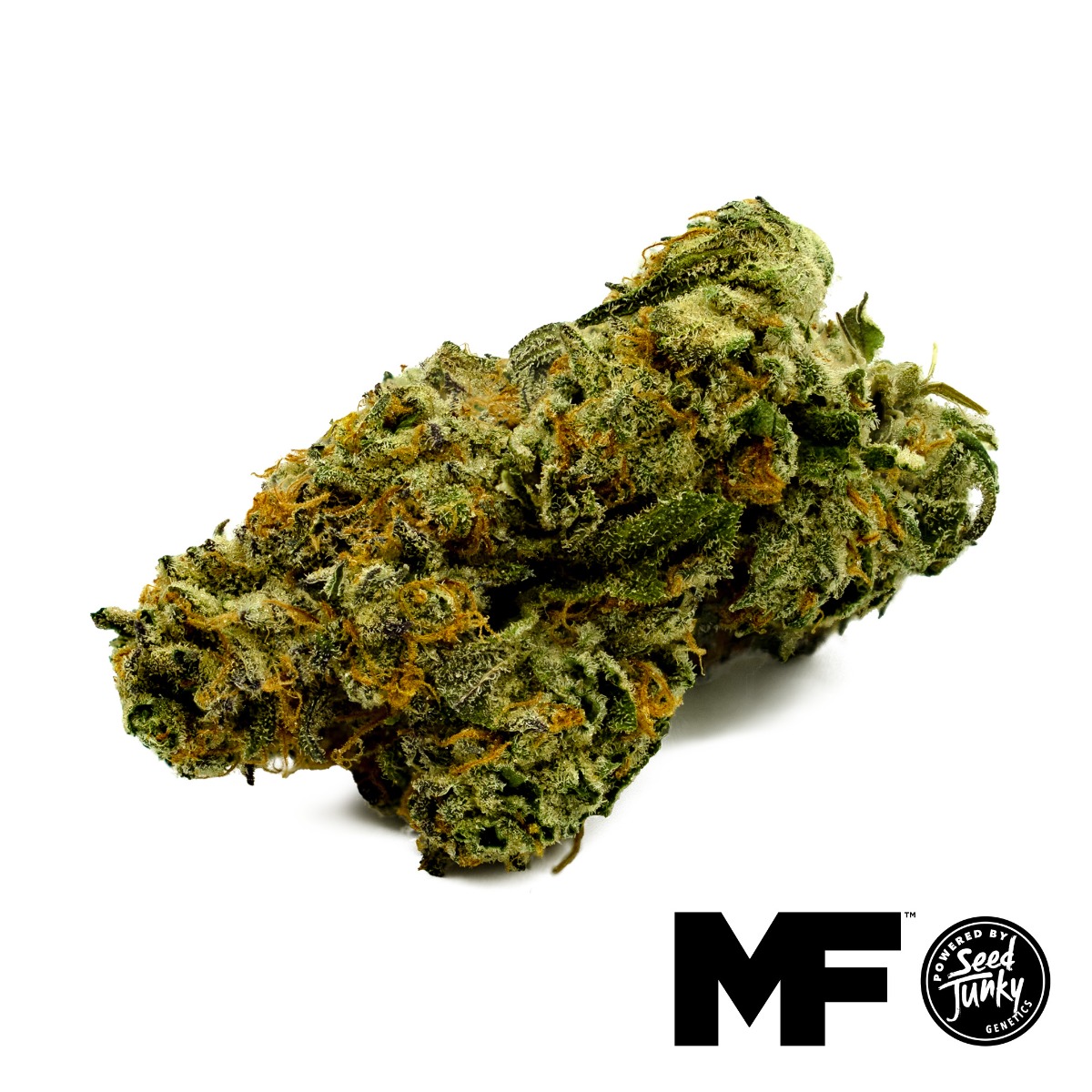 Lemon Cherry x Cap Junky Flower